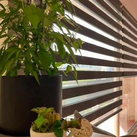 Apartman La Isla House 5 Minuti Centro-spiaggia *